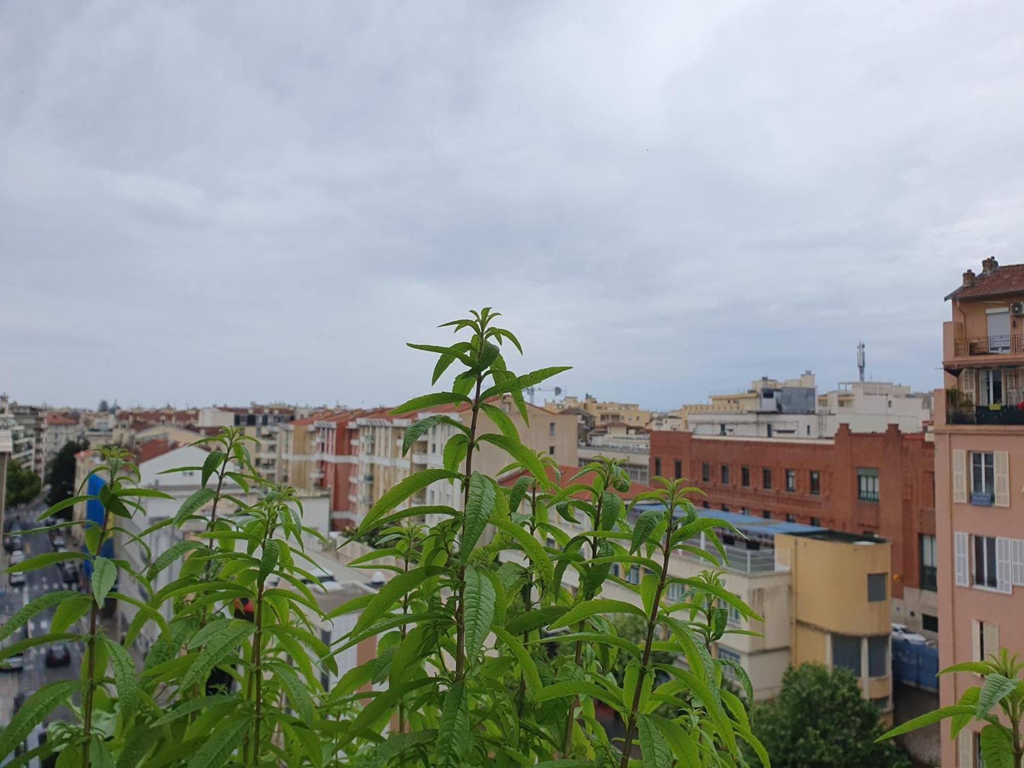 Wonderful Heart Of Nice Exterior foto